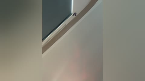 Video of a minimalist, modern room with a white ceiling and beige walls. A small, black bird perches on the window sill of a narrow, vertical window. The room has a sleek, clean aesthetic.