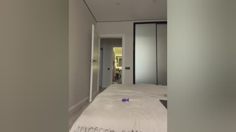 Video of a modern, minimalist bedroom with beige walls, frosted glass wardrobe, and a white bed with a purple vibrator on it.