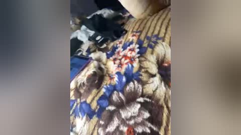 Video of a person wearing a vibrant, patterned sweater with intricate floral designs in shades of blue, red, white, and beige. The background is blurred, making the sweater's texture and colors stand out prominently.