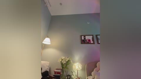 Video of a cozy, softly lit living room with sage green walls, a white ceiling, a modern white lamp, and a floral arrangement on a small table.
