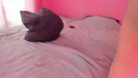 couple_tats free recording from 2025-12-05 00:07:00