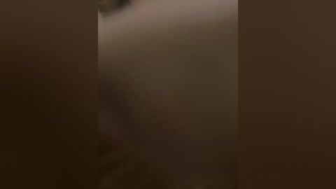 Video of a blurry, dimly-lit interior scene, featuring a dark, indistinct figure partially obscured by shadows. The image is dominated by muted browns and blacks, creating an eerie, mysterious atmosphere.