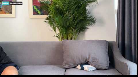 Video of a gray couch with a plush throw pillow and a neatly folded blanket, set against a beige wall adorned with a vibrant, abstract painting and a tall, leafy potted plant.