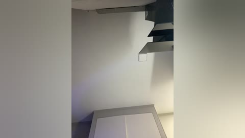 Video of a minimalist, modern room with a spiral staircase leading up, featuring a sleek, metal railing and steps. The walls are a neutral gray, and the floor is a light beige, creating a clean, contemporary atmosphere.