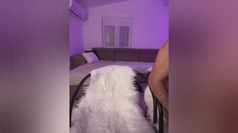 Video of a modern living room with a plush white shag rug on a black metal chair, purple ambient lighting, and a grey sectional sofa with a white pillow.
