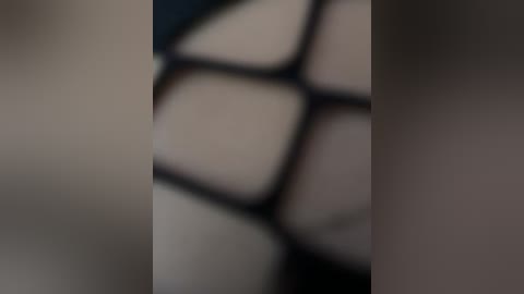 irini free recording from 2025-12-05 00:41:00