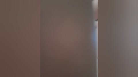 A soft-focus video of a vertical, smooth, metallic surface, likely a refrigerator door, featuring a blurred, indistinct reflection and a slight gradient of muted beige tones.