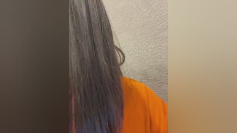 nosikk free recording from 2025-12-05 00:22:00