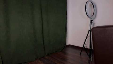 Video of a dimly lit room with a large, round, bright LED light on a tripod in the corner, a dark green curtain covering a wall, and a brown leather couch visible on the right.