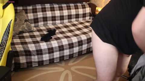 Video of a person in black shorts standing near a plaid-covered sofa with a black cat on it, in a room with a beige and brown patterned carpet.