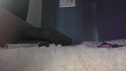 Video of a cozy bedroom with a plush, white shag rug covering the floor. A dark gray couch is visible on the left, and a bed with a white and purple comforter is on the right. The walls are painted dark blue and feature a framed picture.