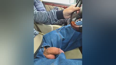 A video captures a person, wearing a blue sweater and blue jeans, sitting in a car with their legs visible. The person's penis is exposed, erect, and uncircumcised, partially covered by the jeans. The car's interior shows beige seats and a steering wheel.