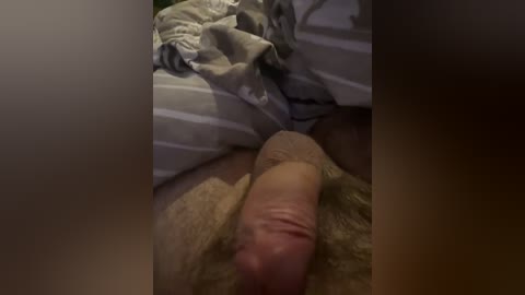 A video of a man's erect penis lying on a beige carpet, partially covered by gray and white striped bedding. The image is dimly lit, suggesting an intimate, possibly private setting.