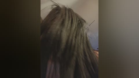 Video of a person with long, straight, dark brown hair, partially obscured by a dark shadow on the left side. The background is dimly lit with muted colors, possibly an indoor setting.