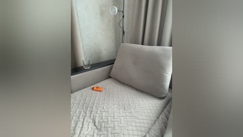 Video of a minimalist, modern bedroom featuring a light grey, textured quilted bedspread, a beige pillow, and beige curtains. A small orange object sits on the bedspread, with a sleek, white floor lamp and black window sill in the background.