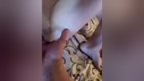 sexypussicoup1 free recording from 2025-12-05 00:22:00