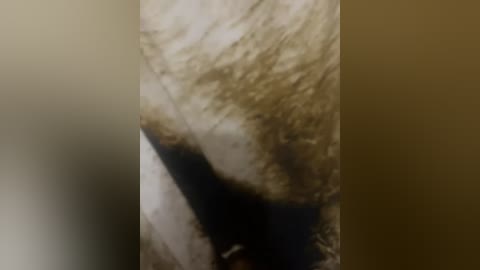 A blurry video of a person with light brown, messy hair and a dark shirt, possibly in a dimly lit room. The background is indistinct, with a gradient of brown and beige tones.