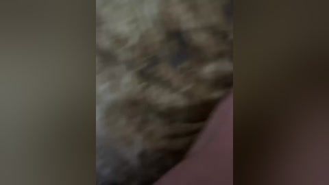 A blurred, close-up video of a furry, possibly animal or human, face with a mix of brown and white fur. The image is out of focus, making details indistinguishable.