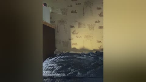 Video of a dimly lit, simple bedroom with a single bed covered in a blue quilt, white wallpaper with London-themed illustrations, and a wooden headboard.