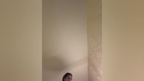 A video of a woman with dark hair partially obscured by a tall, beige wall. The image is dimly lit, creating a sense of mystery and intimacy.