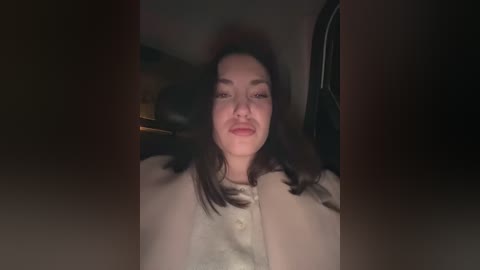 Video of a smiling Asian woman with dark hair, wearing a beige coat, taken from the passenger seat of a car at night.