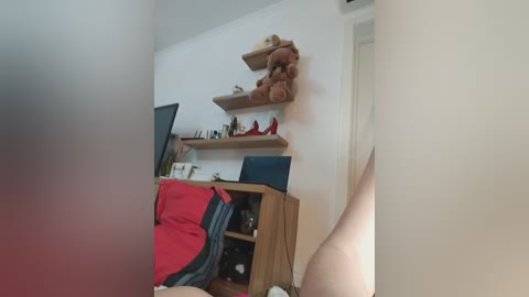 Video of a cluttered, beige-walled room with wooden shelves holding stuffed animals, a red couch, and a TV. A blurred, red object is in the foreground.