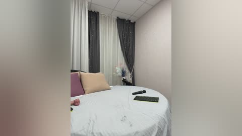 shamelesss free recording from 2025-12-05 00:07:00