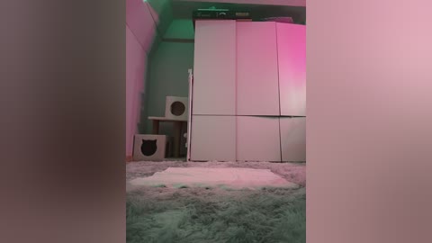 A video of a minimalist bedroom with soft, pastel colors. A white sliding door with a pink light, a beige cat tower, and a fluffy grey rug on a light green floor.