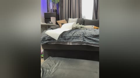 Video of a tidy, modern bedroom with a dark gray sectional sofa, gray throw blanket, and pillows, topped with a white pillow. The room features gray curtains, a potted plant, and a small side table.