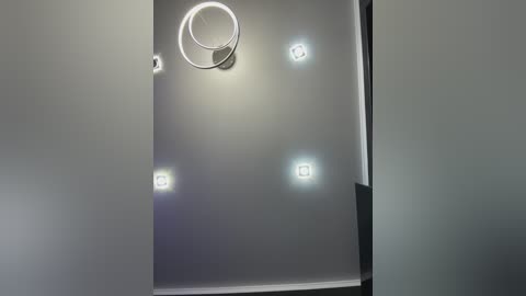 A video of a modern, minimalist room with a glossy, gray ceiling featuring a circular light fixture and four square LED lights. The walls are also gray, creating a monochromatic, sleek atmosphere.