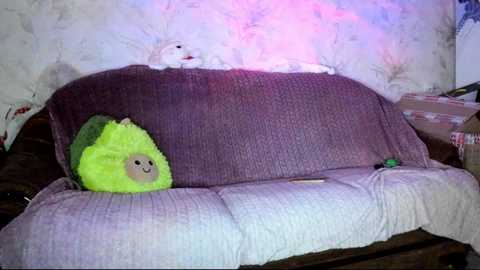 Video of a worn-out, purple couch with a bright green, smiley face pillow and a white stuffed toy cat lying on it. The background shows a cracked, white wall with pinkish lighting.