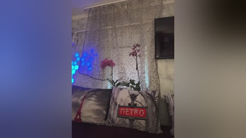 Video of a cozy living room with a grey couch, a floral-patterned curtain, and a \"METRO\" sign. A red orchid plant and blue LED lights add a touch of color.