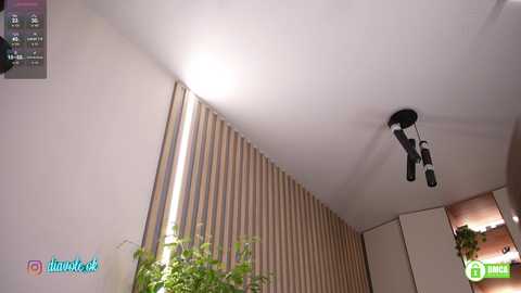 kateline free recording from 2025-12-05 00:07:00