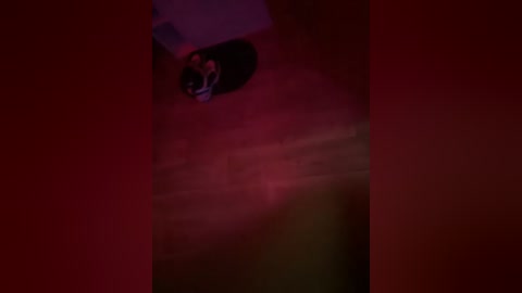 A dimly lit, grainy video shows a person with short dark hair, wearing a black jacket, crouching on a red carpet. The image is slightly blurred, creating a sense of urgency or stealth.