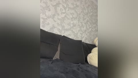 Video of a bedroom with a dark gray, textured wallpaper and a black bedspread. A beige pillow is visible on the bed, and a corner of the room is blurred.