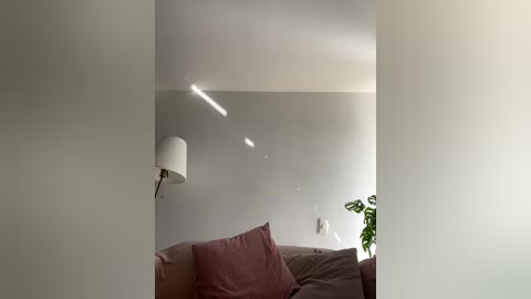 Video of a minimalist living room with light grey walls, a white wall-mounted light fixture, a potted plant, and a plush sofa with pink and grey pillows.