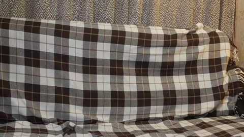 Video of a plaid blanket with a black, white, and gray checkered pattern draped over a couch, against a patterned wallpaper background.