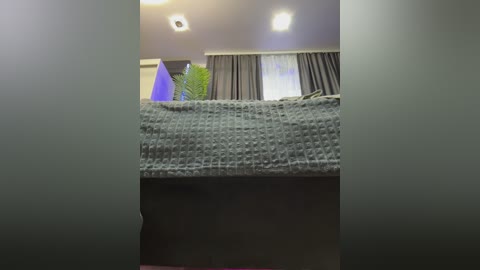 Video of a modern, dimly lit bedroom with a plush grey quilted bedspread, grey curtains, and a potted plant in the background.