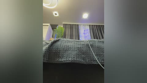 Video of a dimly lit bedroom with a gray quilted blanket covering a bed, a green plant in the corner, and white curtains partially drawn.
