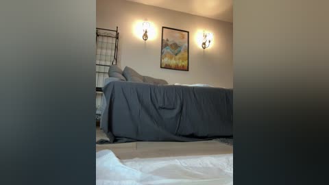 Video of a minimalist bedroom with a beige wall, a gray bed, white bedding, a framed landscape painting, and two wall sconces. The floor is covered in white plastic sheeting, indicating a renovation.
