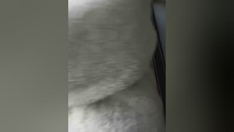 A close-up video of a blurred, textured surface resembling fabric or fur, possibly animal fur, with indistinct colors and a slightly out-of-focus background.