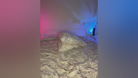 model2021 free recording from 2025-12-05 01:18:00