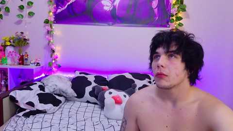 Video of a shirtless, pale-skinned young man with curly black hair, wearing a black and white cow-patterned duvet, sitting on a bed with pink fairy lights, a framed painting, and a floral arrangement in the background.