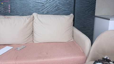 Video of a beige sofa with two cream cushions, covered in a pink and white striped blanket, against a dark, textured wall. A remote control and a white envelope lie on the sofa.