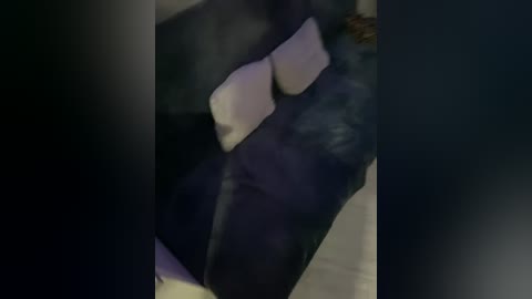 Video of a person lying on a dark couch with a white pillow, blurred background, dim lighting, suggesting a casual, intimate setting.