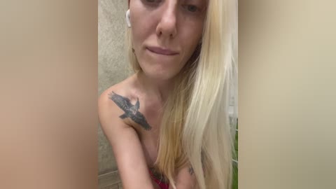 strekoza free recording from 2025-12-05 00:22:00