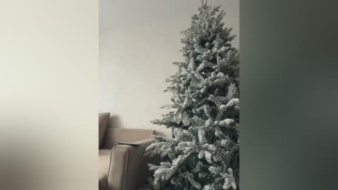 A video of a cozy living room with a snow-dusted Christmas tree in the corner and a beige couch with a throw pillow. The room has muted, neutral tones and soft lighting.
