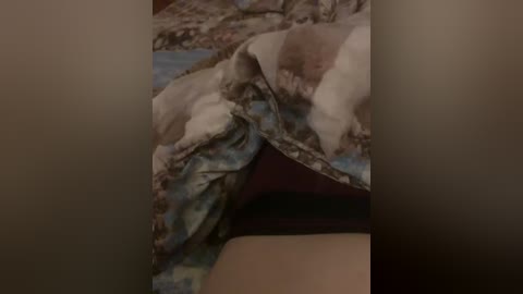 devochka1010 free recording from 2025-12-05 01:18:00