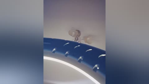 Video of a close-up view of a white plastic tube with a blue rim, showing a small, round, metallic object adhered to the inside surface, likely a tiny insect or a speck of dust.