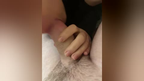 Close-up video of a man's erect penis being orally pleasured by a woman, with her hand holding the shaft. Both have fair skin. Background is blurred.